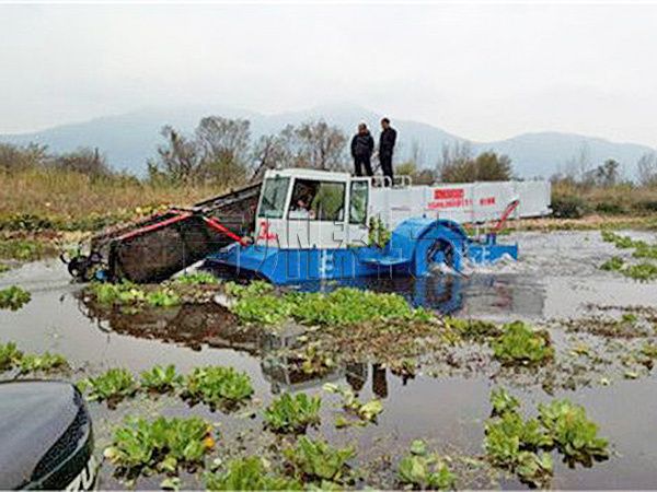 水葫芦收割打捞船.jpg